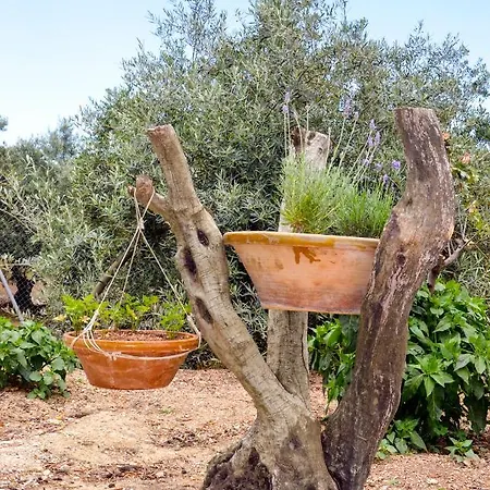 El Tejar Viejo Country house